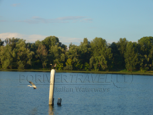 Fiume Mincio Mantova